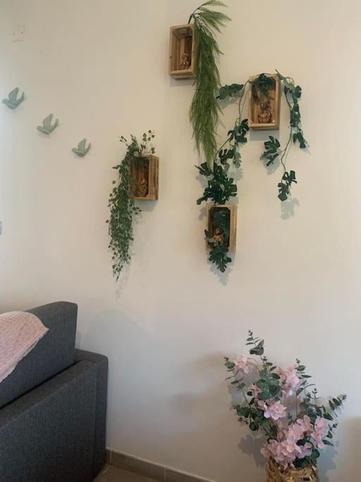 Apartament Proche Aeroport A Pied O' Jungle Tillé Zewnętrze zdjęcie