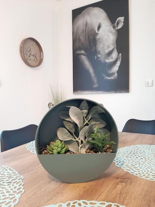 Apartament Proche Aeroport A Pied O' Jungle Tillé Zewnętrze zdjęcie
