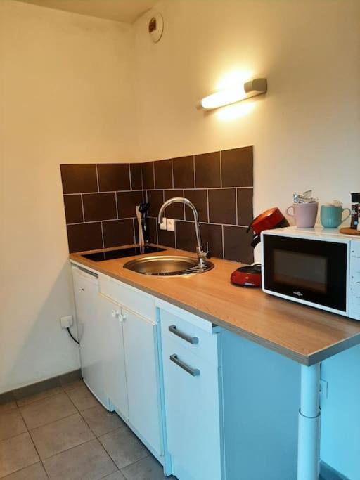 Apartament Proche Aeroport A Pied O' Jungle Tillé Zewnętrze zdjęcie